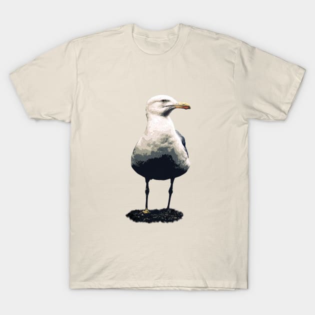 Solitary seagull T-Shirt by RiverPhildon